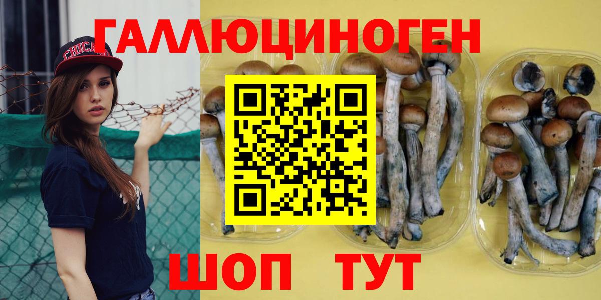 Псилоцибиновые грибы прущие грибы Новый Уренгой