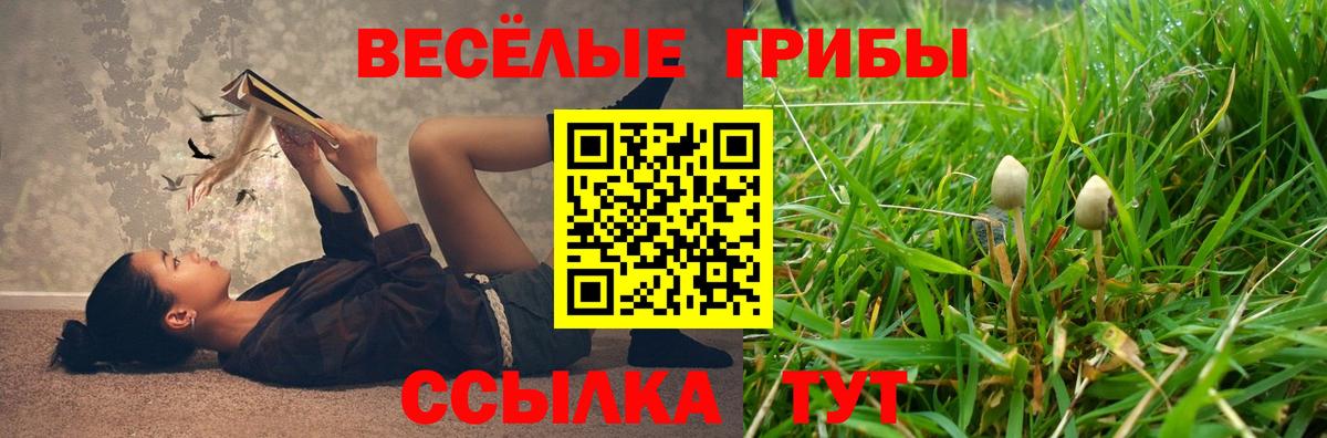 Псилоцибиновые грибы ЛСД  Вход с VPN  Новый Уренгой 